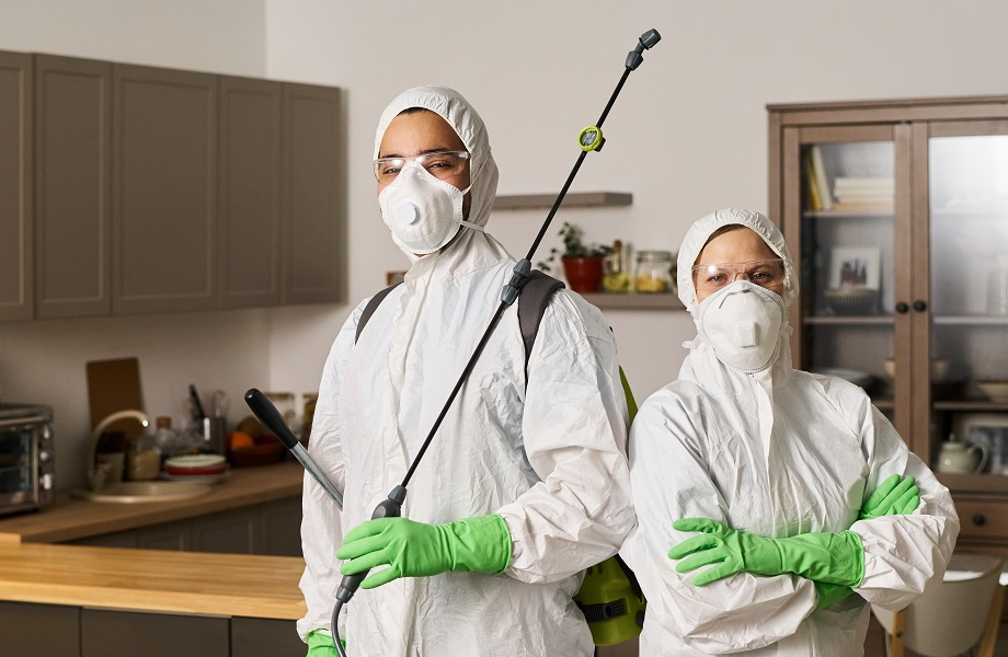 Pest Control Service in Dubai